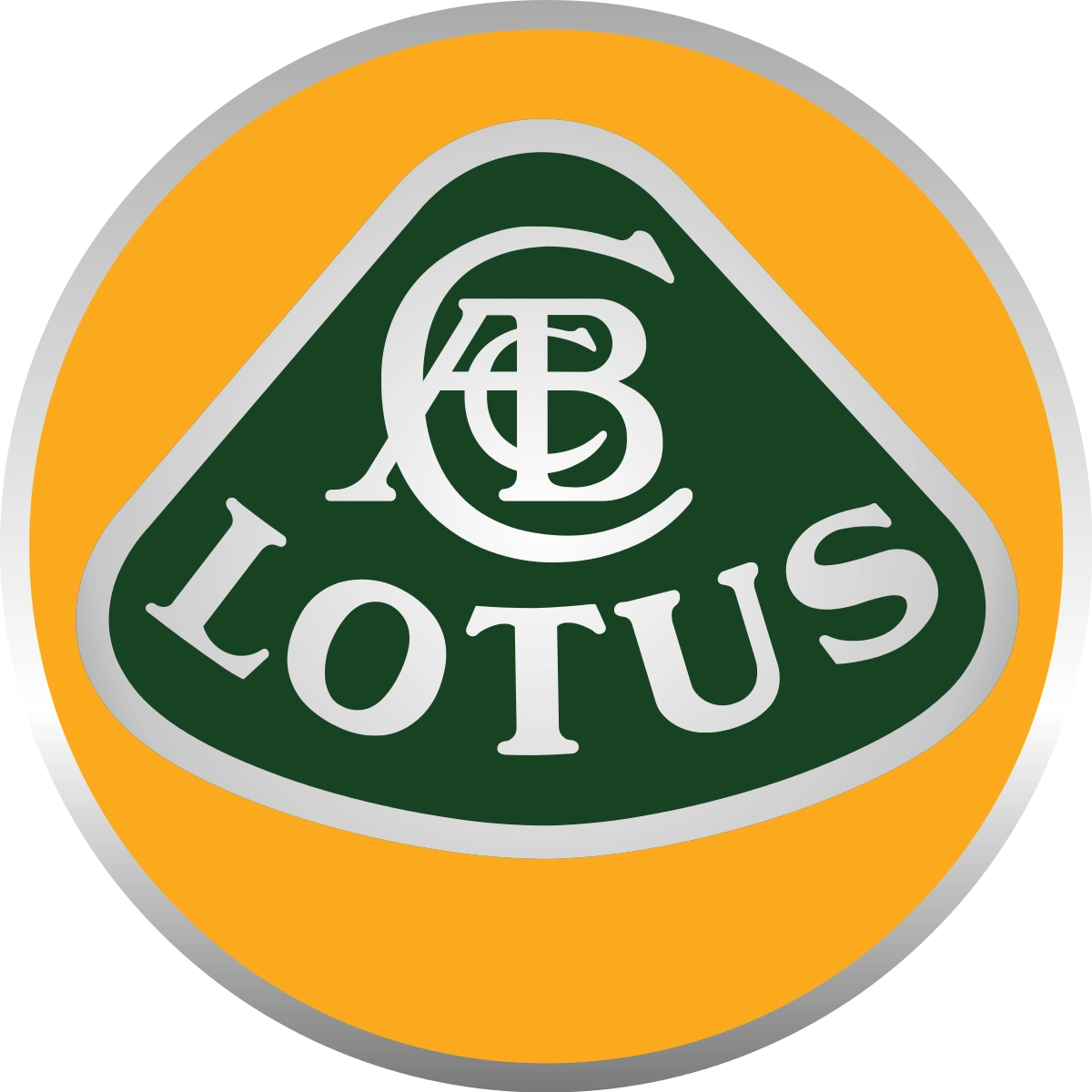 Glace porte battante gauche Lotus