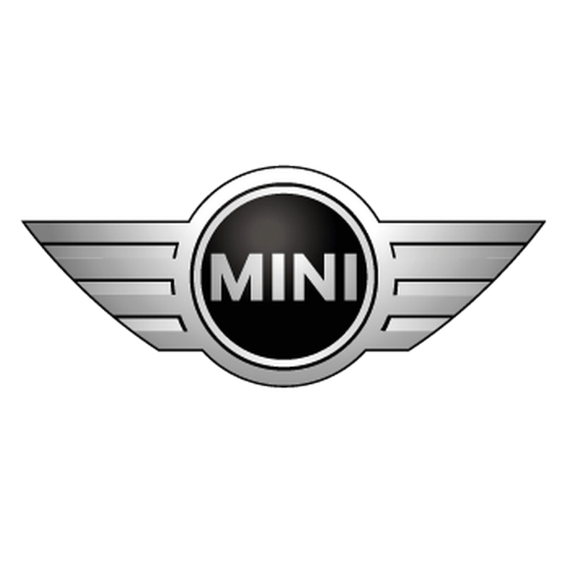 Glace porte battante gauche Mini