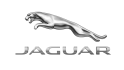 photo-Jaguar