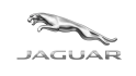 photo-Jaguar