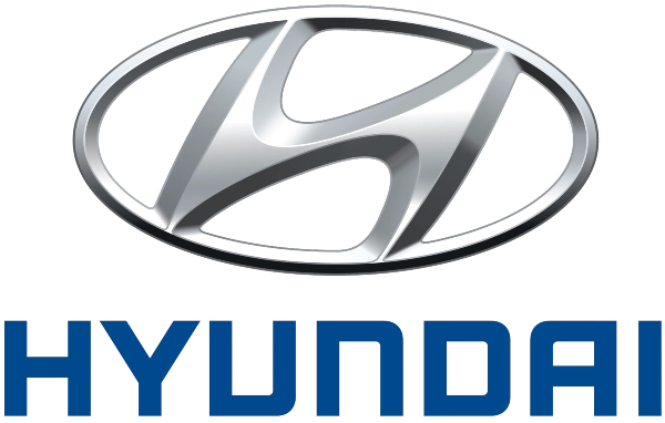 Glace porte battante gauche Hyundai