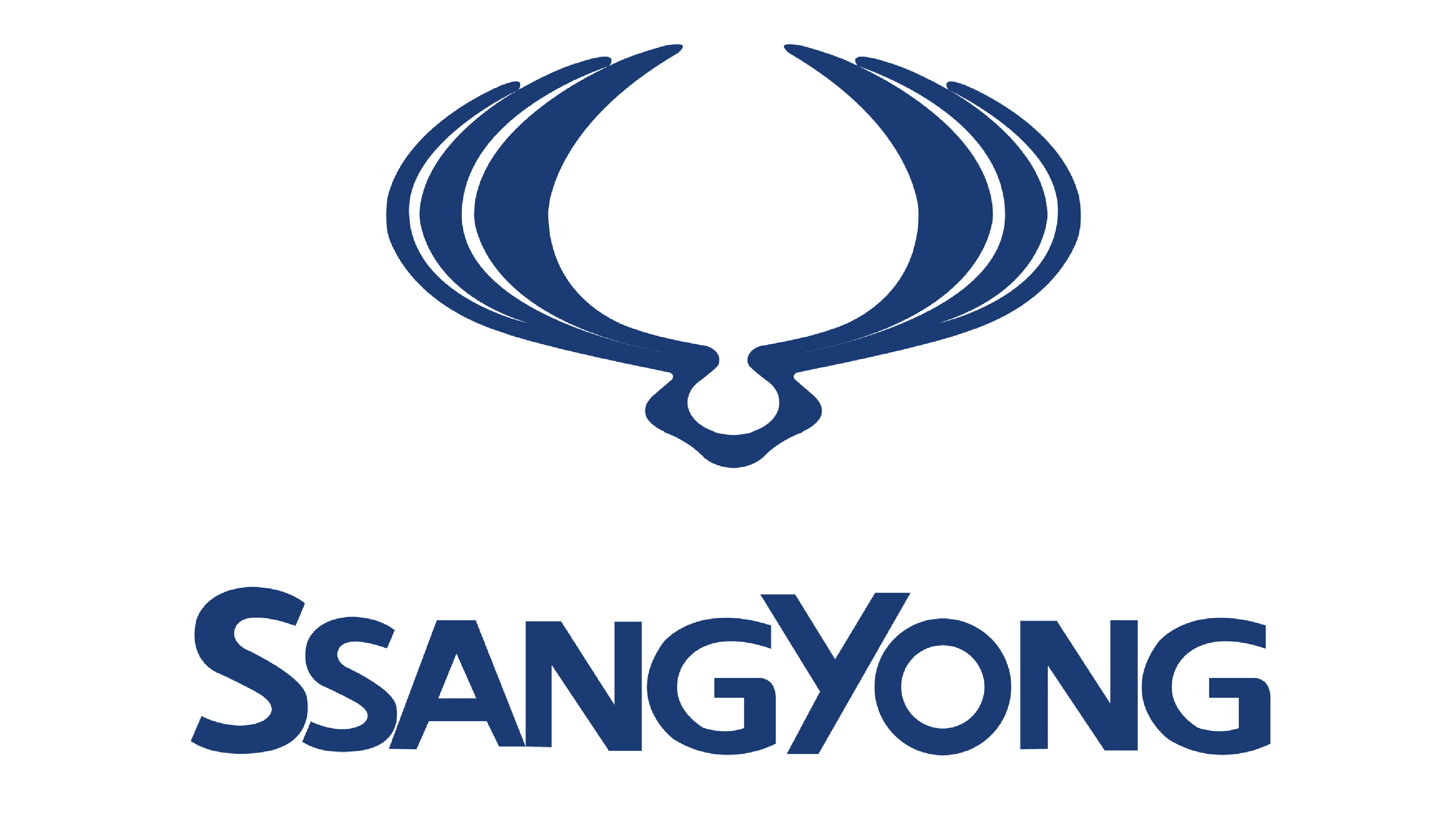 Pièces Ssangyong d'occasion