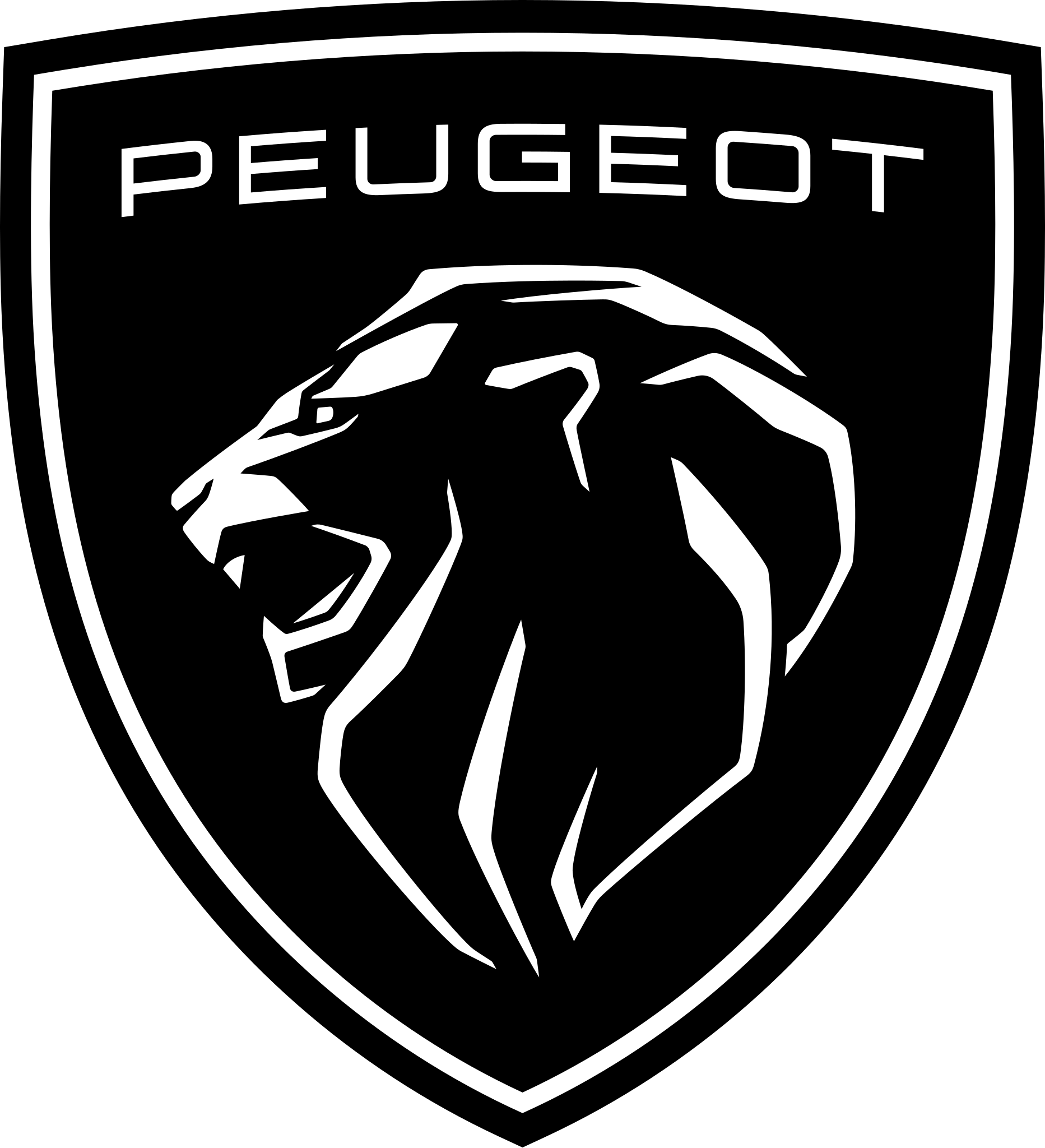 Pièces Peugeot d'occasion
